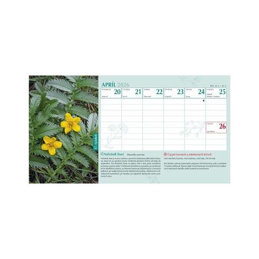 Naptár, asztali, álló, TOPTIMER, "Gyógyító természet"