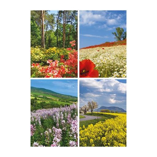 Naptár, fali, TOPTIMER, "Ezerszínű Magyarország"