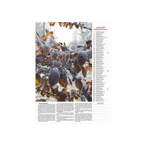 Naptár, fali, TOPTIMER "Kertésznaptár"