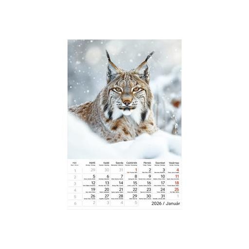 Naptár, fali, TOPTIMER "Vadállatok"