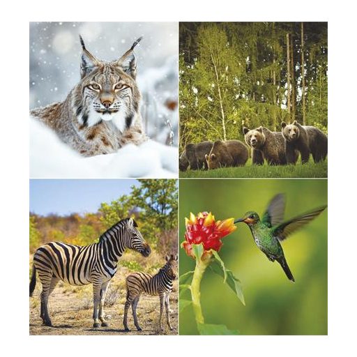 Naptár, fali, TOPTIMER "Vadállatok"