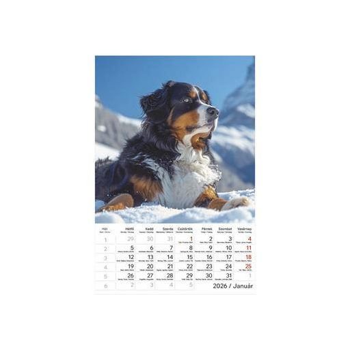 Naptár, fali, TOPTIMER "Kutyák"