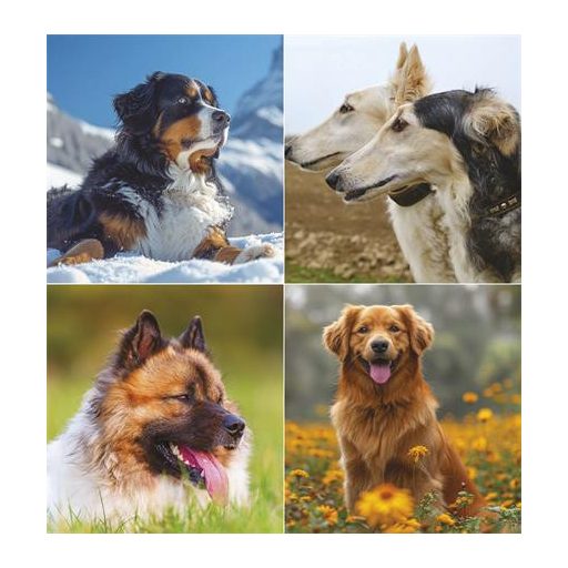 Naptár, fali, TOPTIMER "Kutyák"