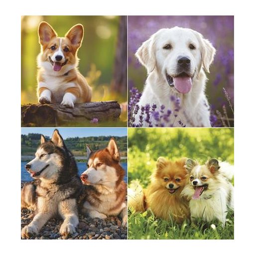 Naptár, fali, TOPTIMER "Kutyák"