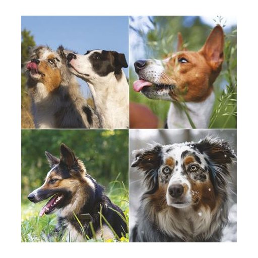 Naptár, fali, TOPTIMER "Kutyák"