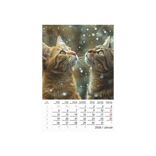 Naptár, fali, TOPTIMER, "Cicák"