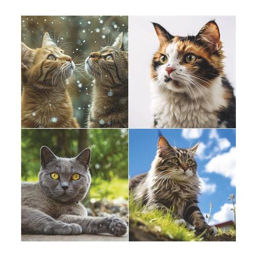 Naptár, fali, TOPTIMER, "Cicák"