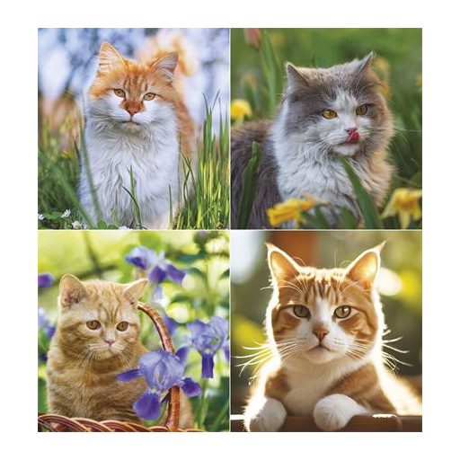 Naptár, fali, TOPTIMER, "Cicák"