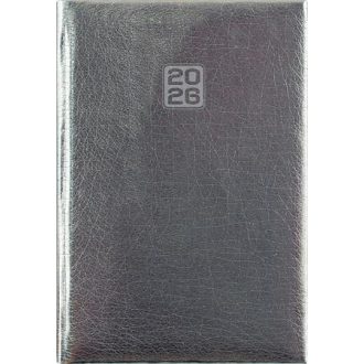   Naptár, tervező, B6, heti, DAYLINER, "Mirror", ezüst