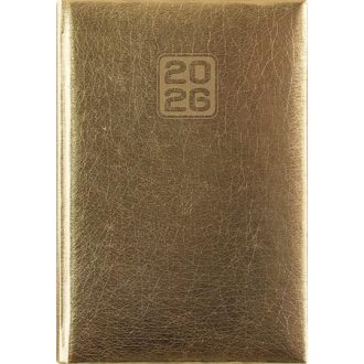   Naptár, tervező, A5, napi, DAYLINER, "Mirror", arany