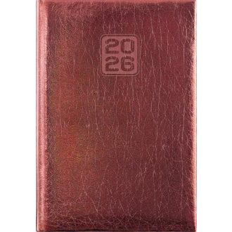   Naptár, tervező, A5, napi, DAYLINER, "Mirror", bronz