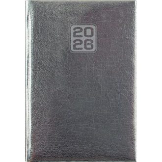   Naptár, tervező, A5, napi, DAYLINER, "Mirror", ezüst