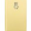 Naptár, tervező, A5, napi, DAYLINER, "MyPastel", sárga