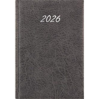  Naptár, tervező, A5, napi, DAYLINER, "Rebel", szürke