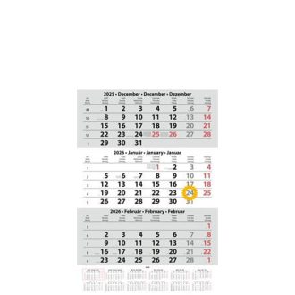   Naptár, speditőr, három hónapos, egy tömbös, üres fejrész, DAYLINER