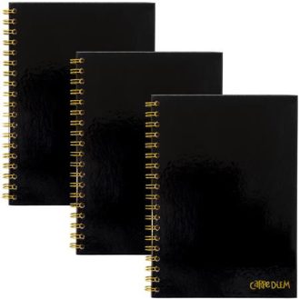   Spirálfüzet, B5, vonalas, 80 lap, FSC, PUKKA PAD "Carpe Diem", fekete