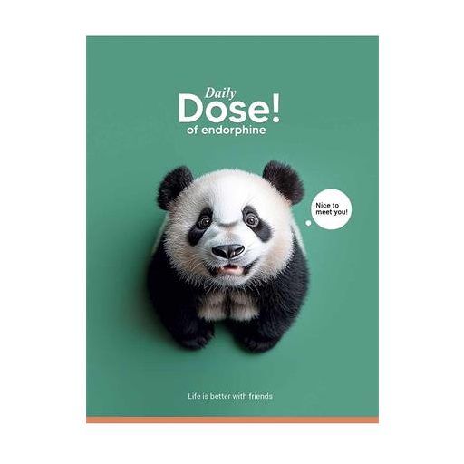 Füzet, tűzött, A5, kockás, 48 lap, SHKOLYARYK "Nice to meet you", vegyes