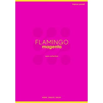   Füzet, tűzött, A4, kockás, 60 lap, SHKOLYARYK "Neon", vegyes