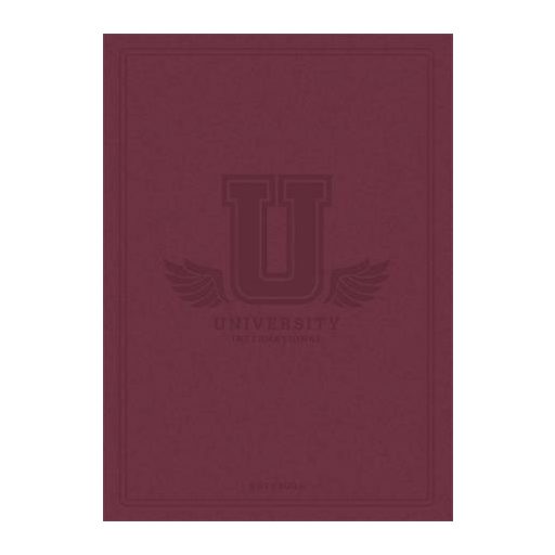 Füzet, tűzött, A5, kockás, 60 lap, SHKOLYARYK "University International", vegyes