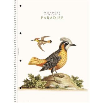   Spirálfüzet, A4, vonalas, 80 lap, SHOLYARYK "College Block Wonders", vegyes