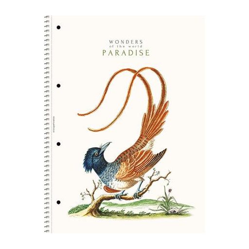 Spirálfüzet, A4, vonalas, 80 lap, SHOLYARYK "College Block Wonders", vegyes