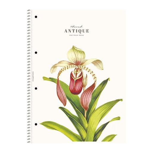 Spirálfüzet, A4, vonalas, 80 lap, SHOLYARYK "College Block Wonders", vegyes