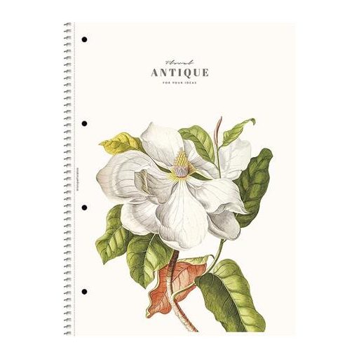 Spirálfüzet, A4, vonalas, 80 lap, SHOLYARYK "College Block Wonders", vegyes