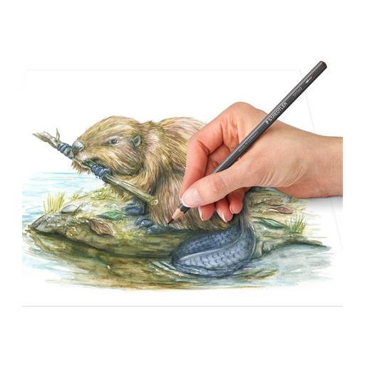 Színezett akvarell ceruza készlet, hatszögletű, STAEDTLER® "tinted 146 10T", 12 különböző szín