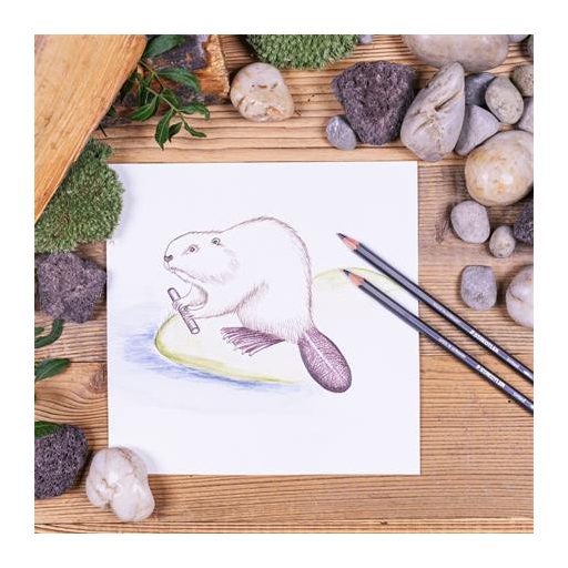 Színezett akvarell ceruza készlet, hatszögletű, STAEDTLER® "tinted 146 10T", 12 különböző szín