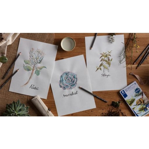 Színezett akvarell ceruza készlet, hatszögletű, STAEDTLER® "tinted 146 10T", 12 különböző szín