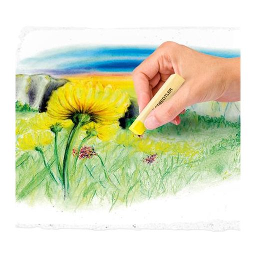 Porkréta, STAEDTLER "2430", 24 különböző szín