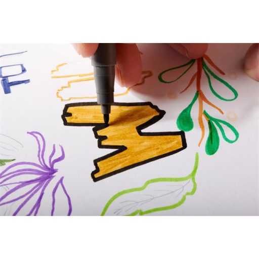 Filctoll, 1 mm, kúpos, 2 db, STAEDTLER® "Pigment pen 376", intenzív fekete