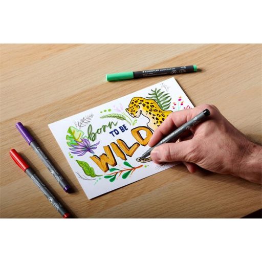 Filctoll, 1 mm, kúpos, 2 db, STAEDTLER® "Pigment pen 376", intenzív fekete