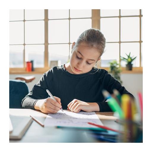 Rollertoll, patronos, M-es, SCHNEIDER "Base Ball", szürke-rózsaszín