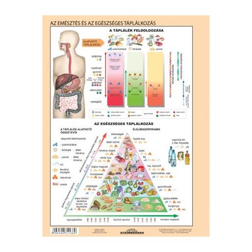 Tanulói munkalap, A4,  STIEFEL "Az emésztőrendszer"