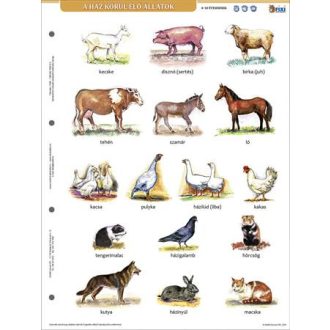   Tanulói munkalap, A4, STIEFEL" A ház körül élő állatok"