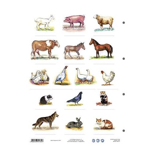 Tanulói munkalap, A4, STIEFEL" A ház körül élő állatok"