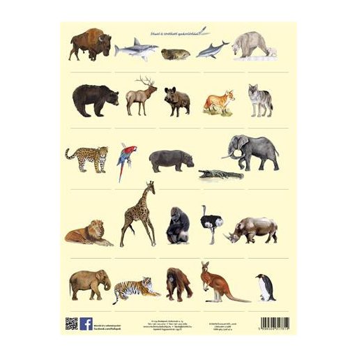 Tanulói munkalap, A4, STIEFEL" Vadon élő állatok"