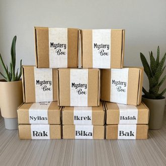 Mystery Box – Horoszkópod erejével