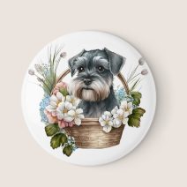 Minden ami schnauzer