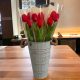 Szappan tulipán csomag ( 3 szál )