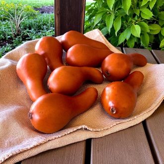 Őszi dekoráció-sütőtök (sima)