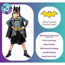 Batgirl Shadow Princess jelmez 3-4 év