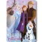 Disney Jégvarázs Winter Friends polár takaró 100x140cm
