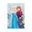 Disney Jégvarázs polár takaró - 100 x 150 cm 