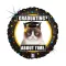 Grumpy Cat Gradution Holo fólia lufi 46 cm