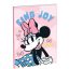 Disney Minnie Joy B/5 vonalas füzet 40 lapos