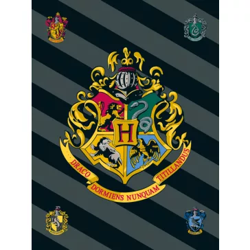 Harry Potter Crest  polár takaró 100x150cm
