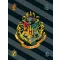 Harry Potter Crest  polár takaró 100x150cm