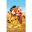 Disney Az Oroszlánkirály Pride Lands Trio kéztörlő, arctörlő, törölköző 30x50 cm Disney Az Oroszlánkirály Pride Lands Trio kéztörlő, arctörlő, törölköző 30x50 cm